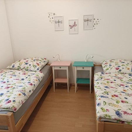 Grosse Ferienwohnung Am Waldrand Schonau (Rhein-Neckar-Kreis) Exterior foto