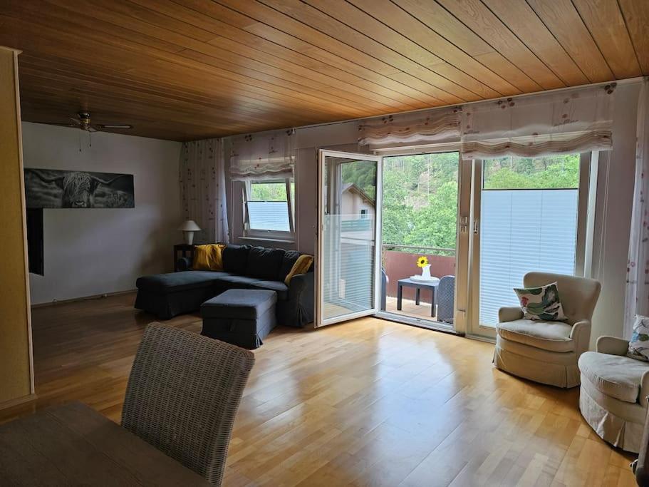 Grosse Ferienwohnung Am Waldrand Schonau (Rhein-Neckar-Kreis) Exterior foto
