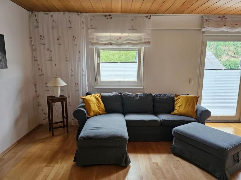 Grosse Ferienwohnung Am Waldrand Schonau (Rhein-Neckar-Kreis) Exterior foto