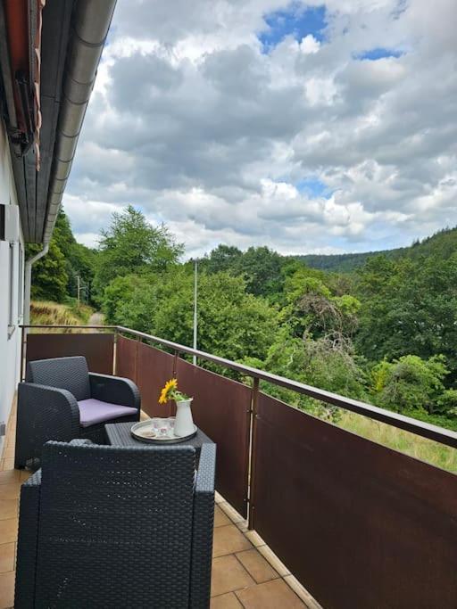 Grosse Ferienwohnung Am Waldrand Schonau (Rhein-Neckar-Kreis) Exterior foto