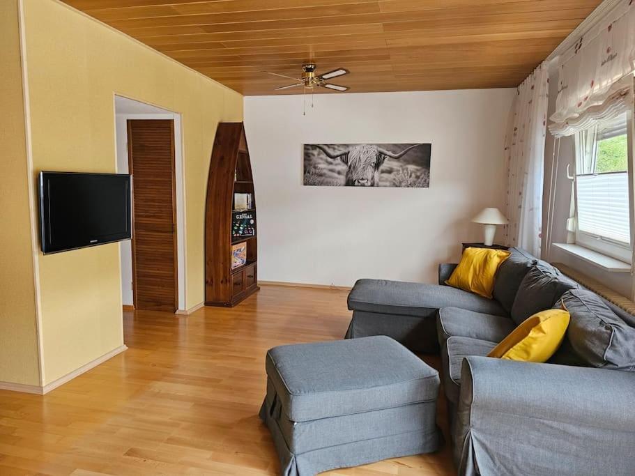 Grosse Ferienwohnung Am Waldrand Schonau (Rhein-Neckar-Kreis) Exterior foto