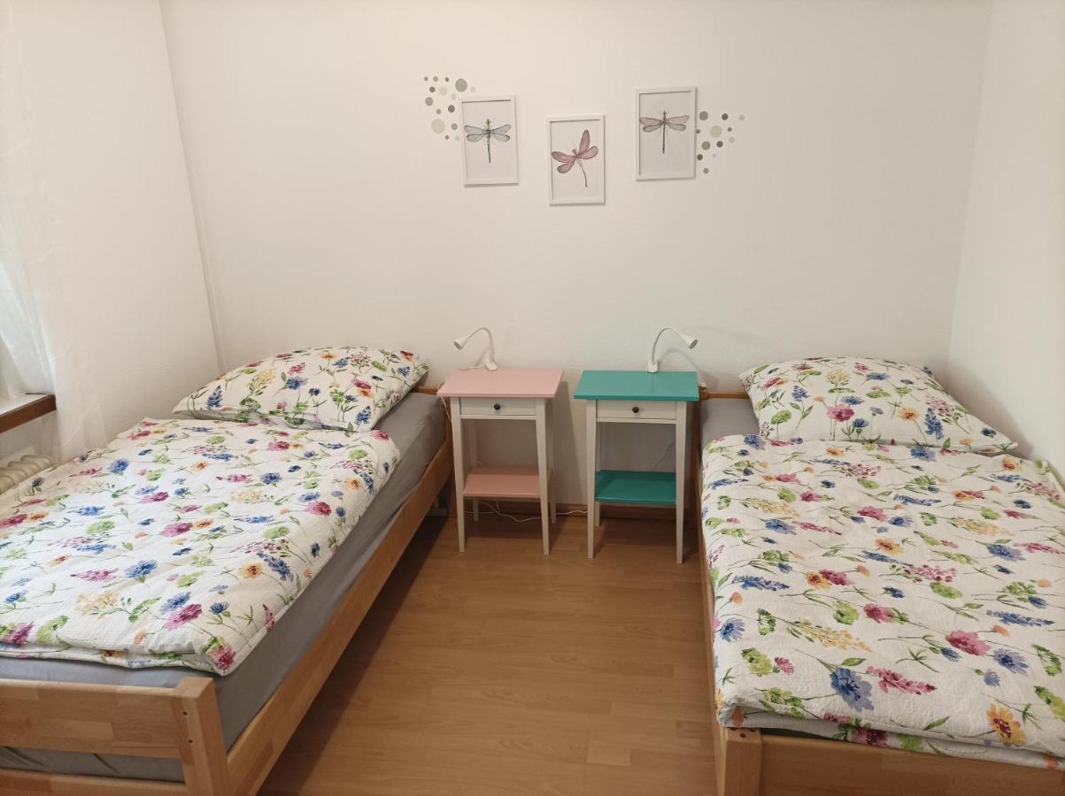 Grosse Ferienwohnung Am Waldrand Schonau (Rhein-Neckar-Kreis) Exterior foto